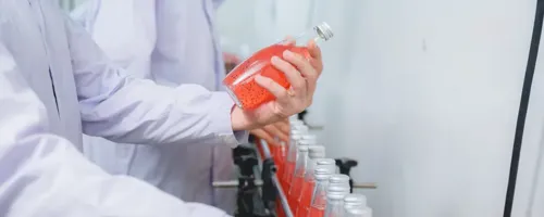 Factory inspector looking at a product.